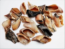 DriedDogTreats 20 Large EMPTY Dried Cow Calves HOOVES Pet Dog Treats Snack Beef