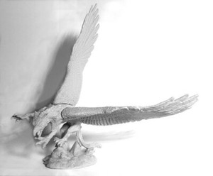 1 X Flying Griffon Bones 4 Reaper Figurine Miniature Rpg Rpg D D 776 Flywheel Ebay