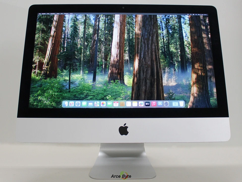 APPLE IMAC 21,5" 4K 2019 INTEL CORE i5 3,0 Ghz RAM 16 GB SSD 500 GB SEQUOIA - Immagine 2 di 4