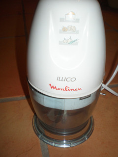 MOULINEX Illico Multizerkleinerer Typ Y91 260W