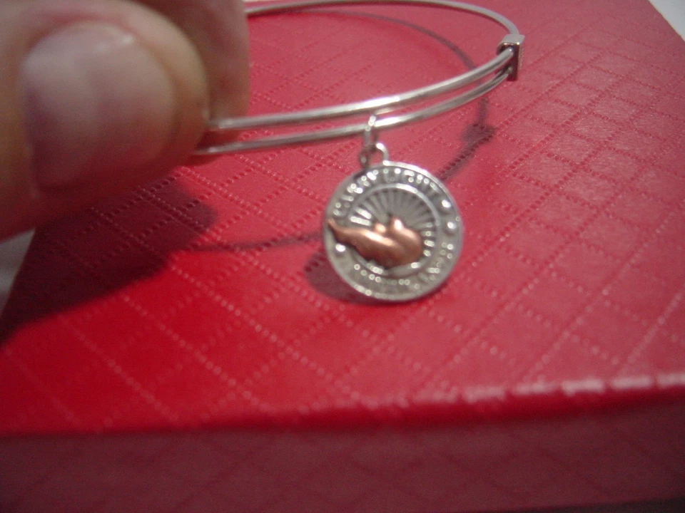 excelente pulseira de prata esterlina sólida - colecionável - alex e ani - luz de transporte - 6,5-8" - Imagem 3 de 4
