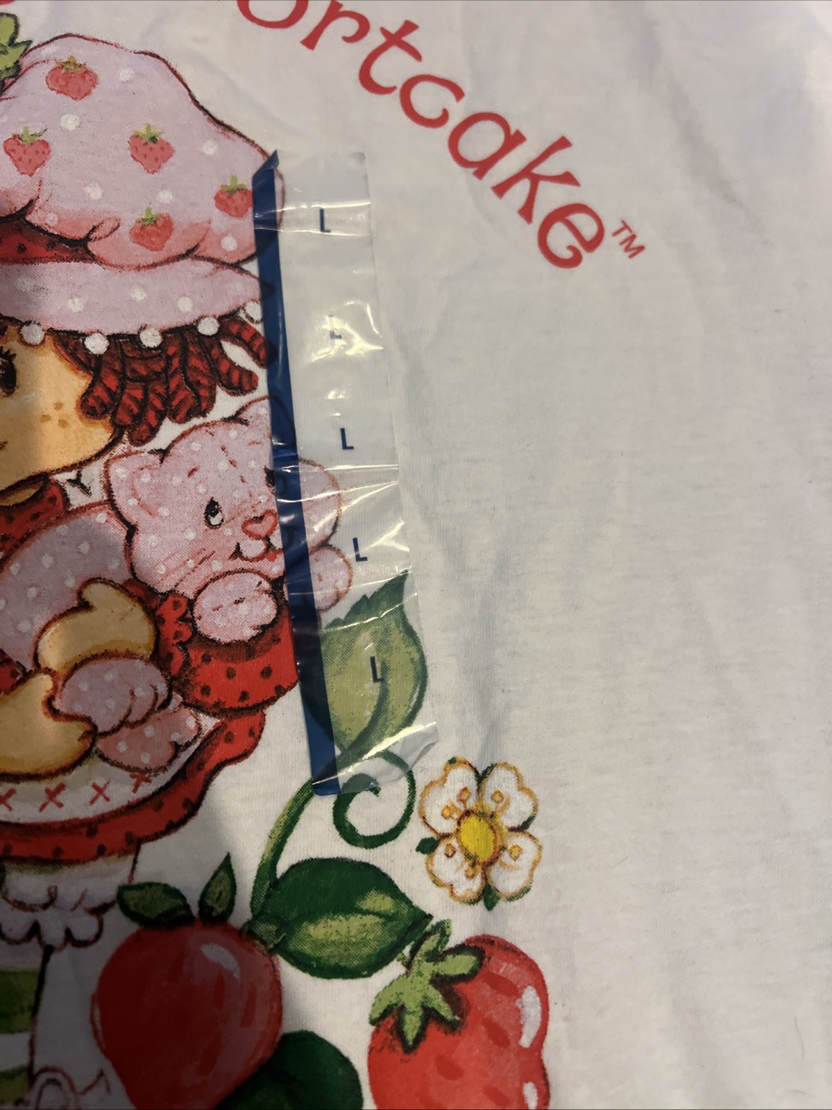 Strawberry Shortcake T-Shirt L White Graphic Tee WildBrain Isaac Morris 2023 NWT