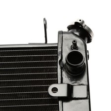 Kühlergitter Wasserkühler YAMAHA YZF-R1 2004-2006 (RN12) R&G