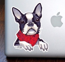 Boston Terrier Wearing a Scarf Art Full Color Decal for 13" Macbook 5 Inch Decal