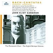 Johann Sebastian Bach : J.S. Bach: Cantatas BWV 11, 37, 43 & 128 (John Eliot