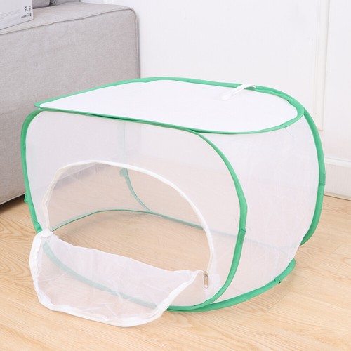 Insect House House Insect Cage Outdoor vente en gros Insect Habitat Caterpillar Cage