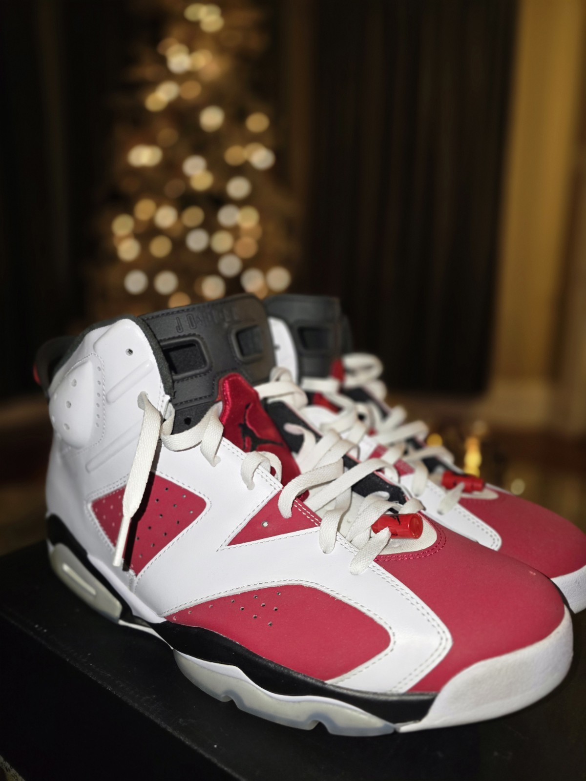 Air Jordan 6 Retro Carmines Size 15
