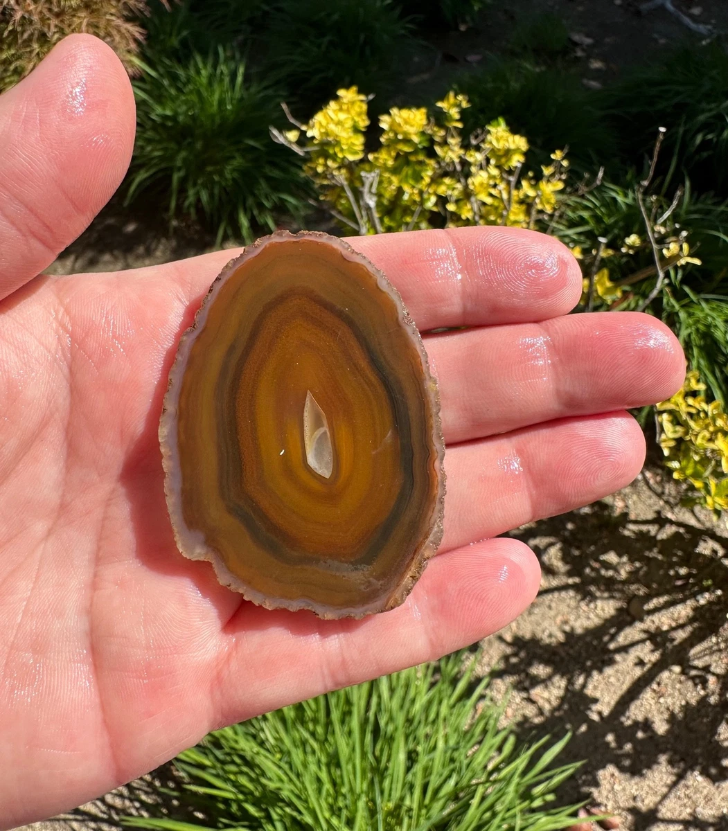 Condor Agate for sale | eBay