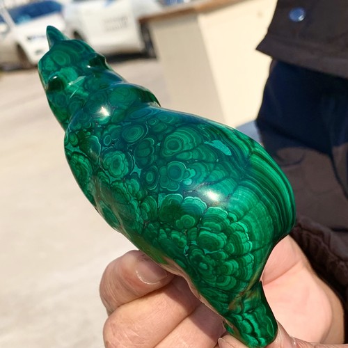 1.23LB Natural glossy peacock crystal hand carved mineral anteater sample - Foto 3 di 14