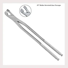 Serrated Jaw Extraction Forceps Hand Crafted Stainless Steel Dental Equine Horse