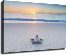 Baby Sea Turtle on The Beach Canvas Wall Decor Art Painting Prints Posters