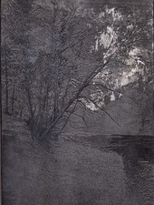 Engraved original printing plate of woodland. Printable