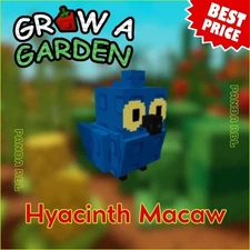 Hyacinth Macaw - Grow A Garden | GAG | Cheapest