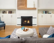 Stanbroil Fireplace Glass Cabinet-Style Door, Black Finish Decorative Sz Medium