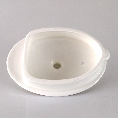 Tetera Fortnum & Mason camelia dos tazas 500 ml en caja - Imagen 14 de 17