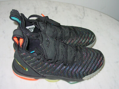 nike lebron 16 we are family