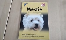 Westie, West Highland White Terrier, Kosmos V...