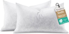 12x20 Feather Lumbar Pillow Insert Set of 2, Decorative Throw Pillow Insert for