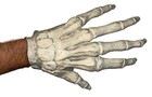 Vintage Halloween Skeleton Hands | Latex Costume Gloves | Style Grim Reaper Prop — photo 9