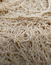 VERIFIED Sourdough Starter Heritage San Francisco - Live 200yrs Old BEST SELLER!