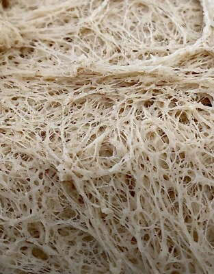 GREAT GRANDMAS SAN FRAN SOURDOUGH STARTER VERIFIED Sourdough Starter Heritage San Francisco - Live 200yrs Old BEST SELLER!