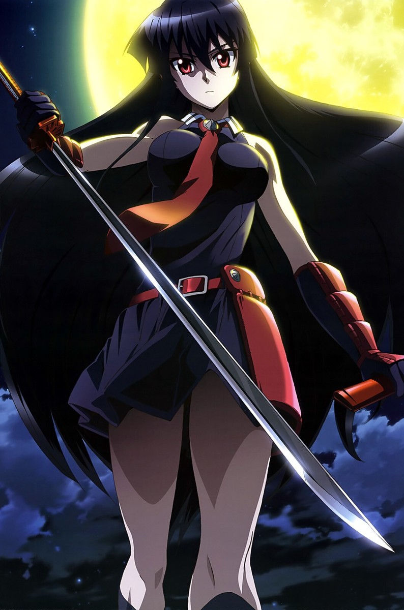 Akame Ga Kill La Kill Anime Premium POSTER MADE IN USA - AGK010 | eBay