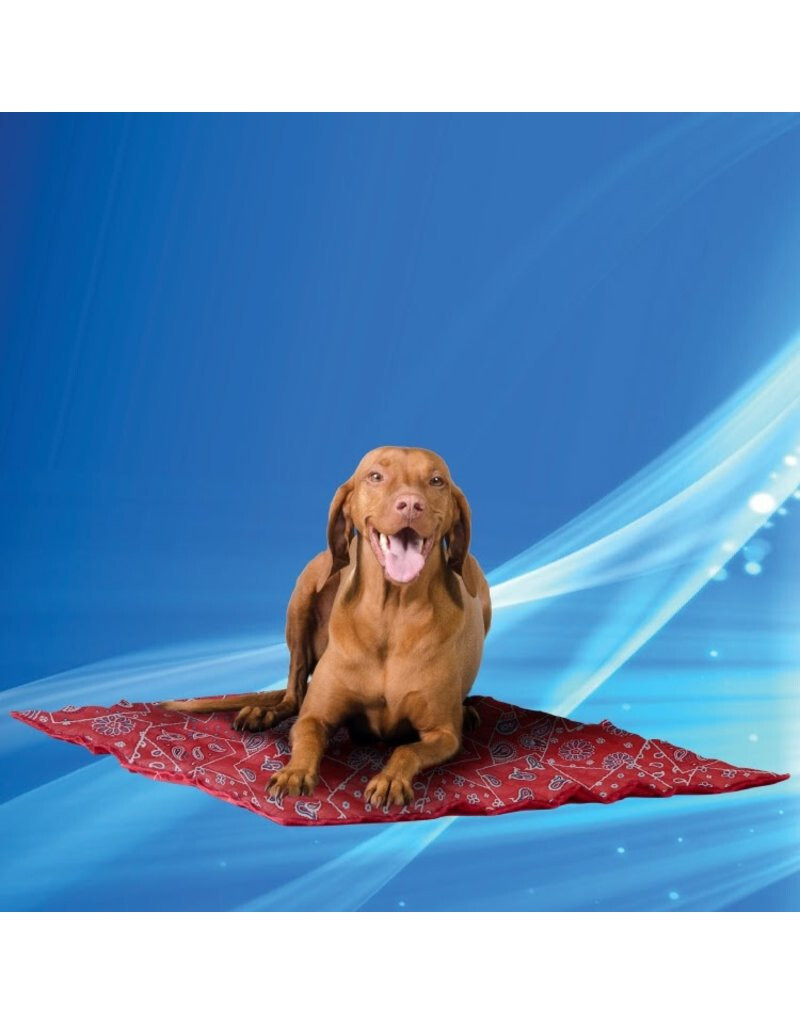 Aqua Mat For Dogs Aqua Coolkeeper Mat For Dogs XXL Size