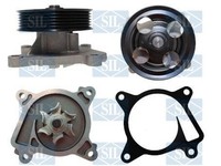 Saleri SIL Wasserpumpe MotorküHlung PA1763 FüR Nissan Teana 3 J33 L33 L33L L33R