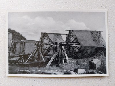 Trockennetze, Jack Fish, Lake Ontario, Ont. Kanada. Canadian Pacific Railway Co.