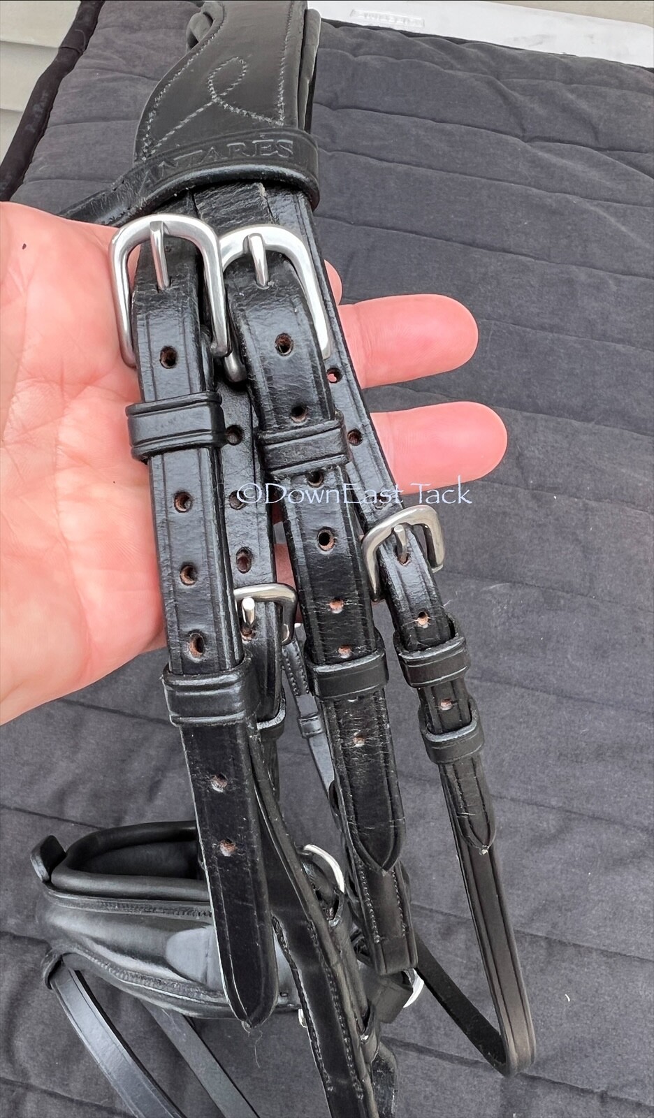 Cob-size ANTARES Original Design Dressage Double bridle - Lovely! Retail $600+