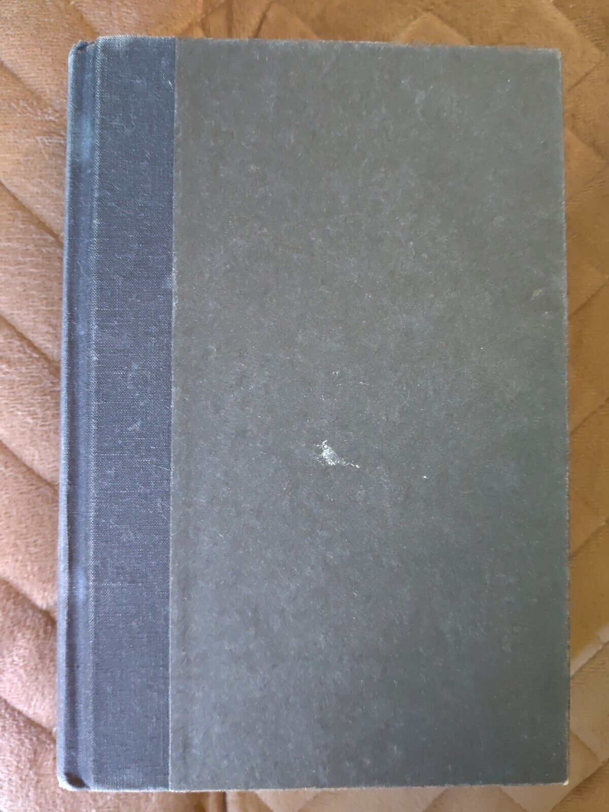 Picture 9 of 14