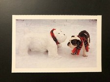 Old Vintage "NORTH SHORE ANIMAL LEAGUE"- Postcard Made in USA