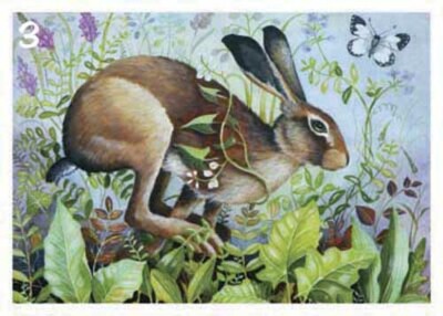 JEMIMA JAMESON Fine Art Hase Grußkarten