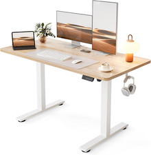 Standing Desk, 48X24 Inches Sit Stand Home Office Desk, Electric Stand up Desk,