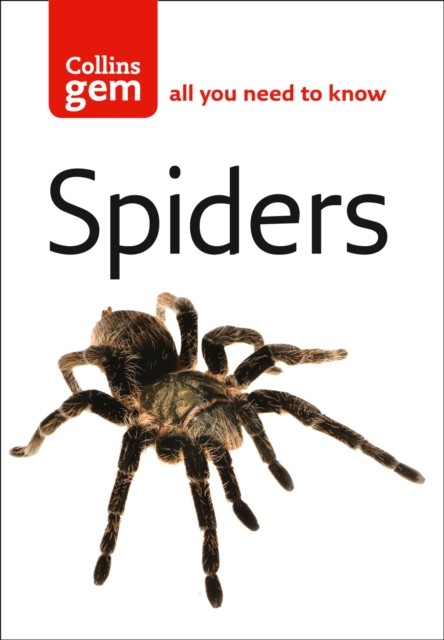 Spiders by Paul Hillyard (Paperback Book)