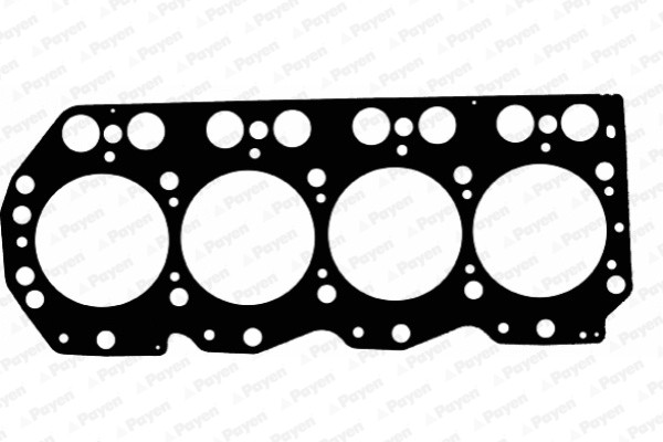 Payen Zylinderkopfdichtung FüR Nissan Terrano II 2.7 Tdi 4WD Ford Maverick-image