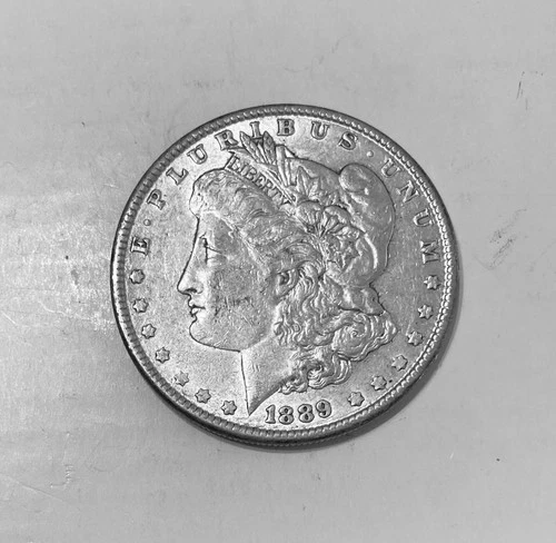 MORGAN SILVER DOLLARS  LOT OF (3)