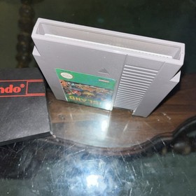 Adventure Island Nintendo NES 1988 Action-Adventure Game