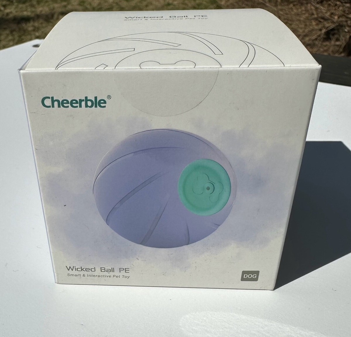 Cheerble Wicked Ball PE Purple Rechargeable Interactive Ball For