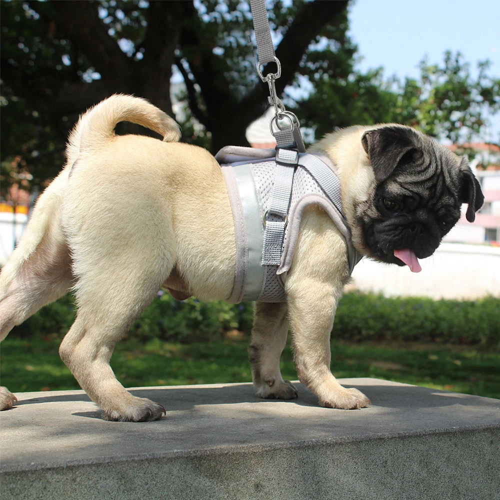 Dog Harness for Chihuahua Pug Control Mesh Walk Collar Vest Harnes and Leash Set