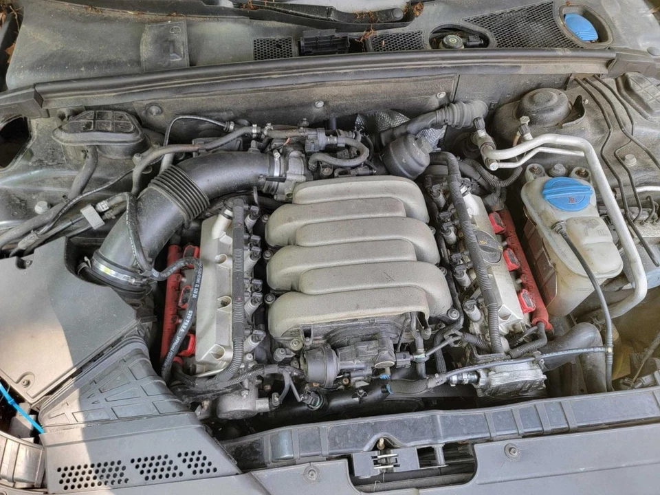 Passenger Tail Light Incandescent Bulb Opt 8SA Fits 08-12 AUDI A5 1610899 - Изображение 3 из 4