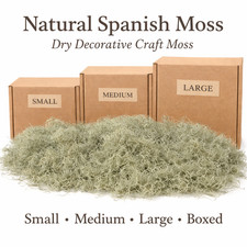 Natural Spanish Moss Decorative Craft Moss for Planters Terrariums Wreaths
