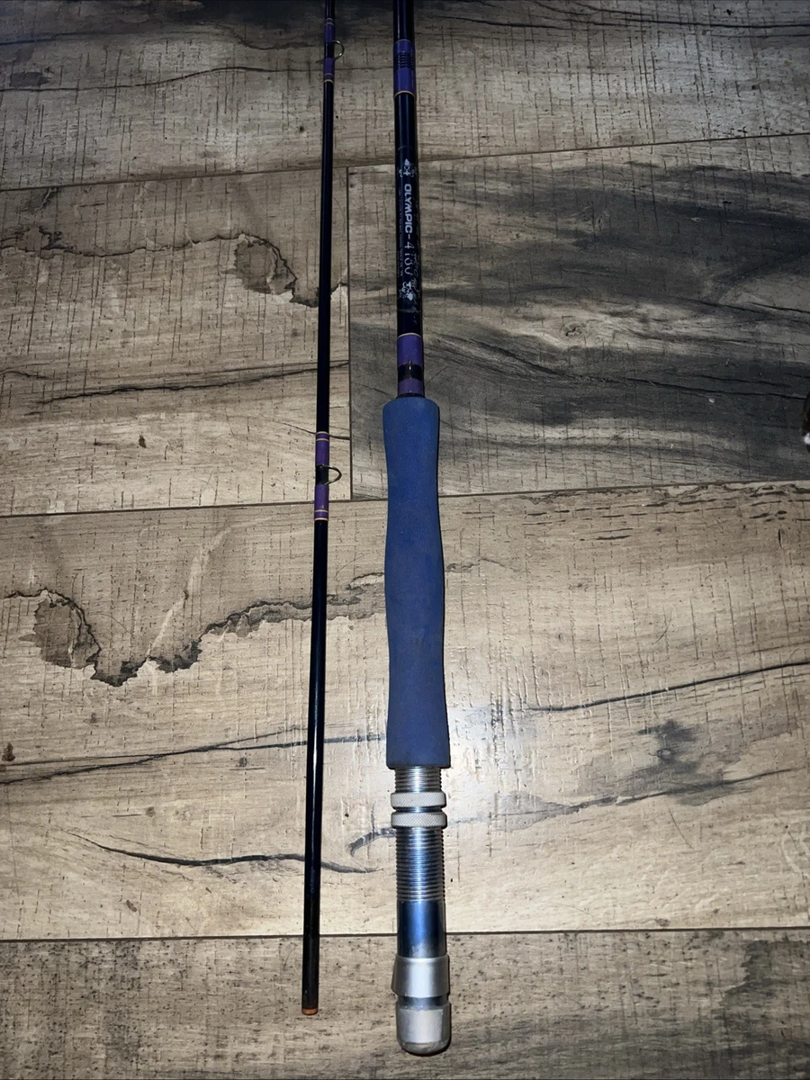 4000 reel saltwater Shimano Baitrunner OC 4000 Saltwater Spinning Reel