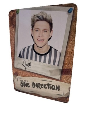 One Direction Niall Horan Make Up Palette Beauty Collection Dose Neu