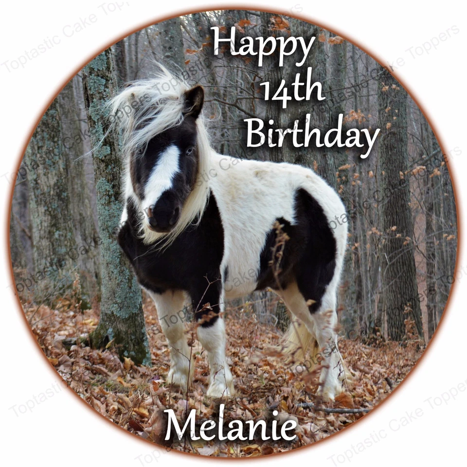 Personalised Miniature Pony Horse Edible Icing Birthday Party Cake Topper