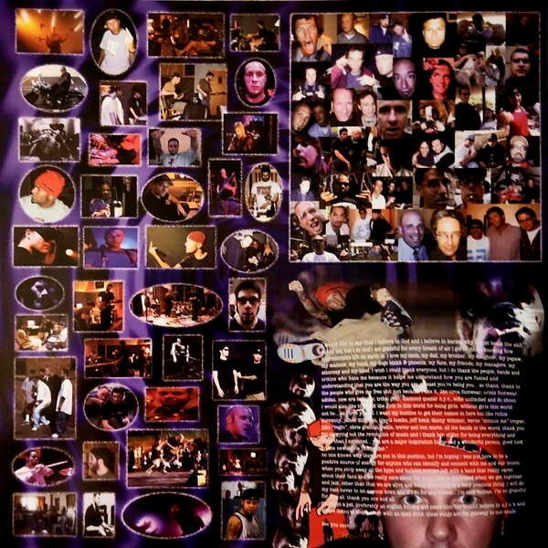 LIMP BIZKIT CHOCOLATE STARFISH AND THE HOT DOG FLAVORED 2 LP Grey