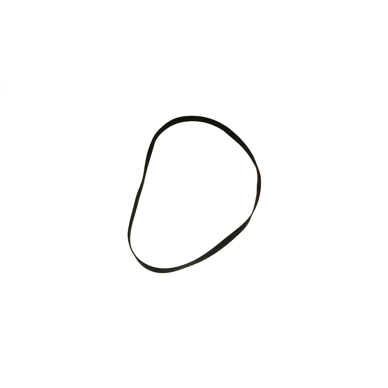 Drive Belt Antriebsriemen für Zenith 169579 Plattenspieler Turntable