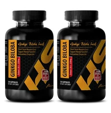 ginkgo biloba extract - GINKGO BILOBA 120 mg - brain booster - 2 Bottles
