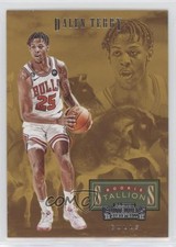 2022-23 Panini Contenders Rookie Stallions Dalen Terry #12 0h5h