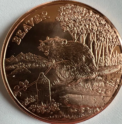 1 roll of 20 .999 fine 1 oz Copper BEAVER wildlife series from Provident Metals